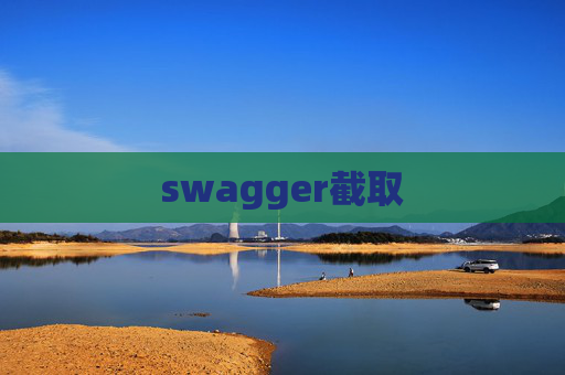 swagger截取